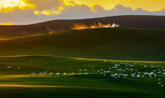 夏季高溫，氣象站全力應對森林草原防火形勢