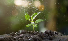 開展土壤墑情監(jiān)測，促進農(nóng)業(yè)結(jié)構(gòu)調(diào)整