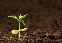 土壤墑情為什么會被稱為農情之魂?